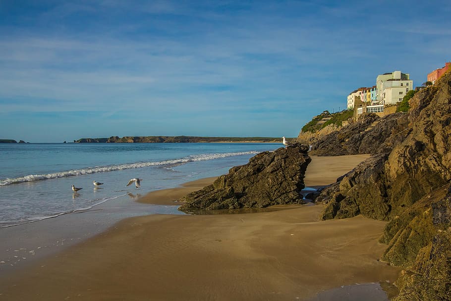coast, bay, low tide, ocean, wales, england, water, sea, beach HD wallpaper