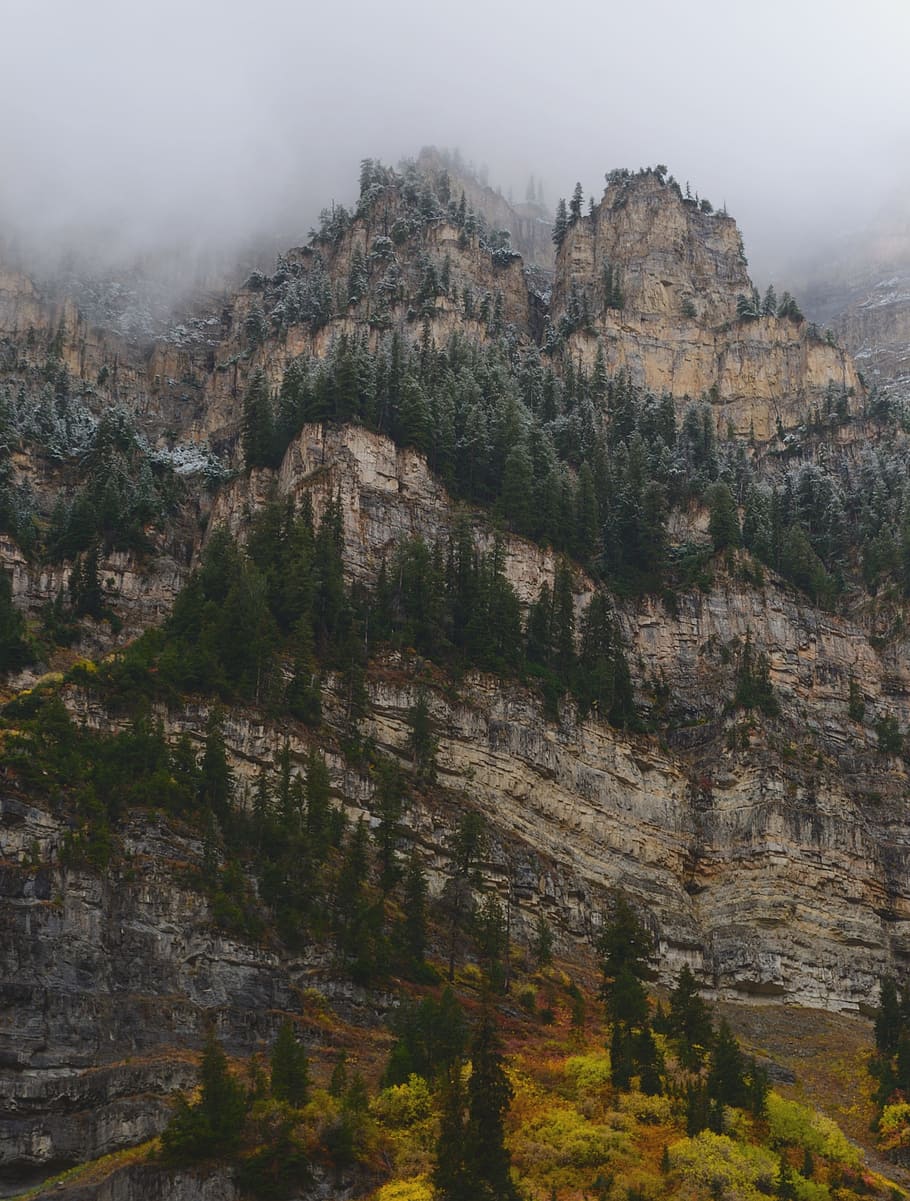 Fall, Winter, Mountains, Cold, autumn, forest, outdoor, season HD wallpaper
