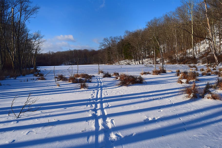 snow, landscape, winter, white, cold, nature, season, blue HD wallpaper