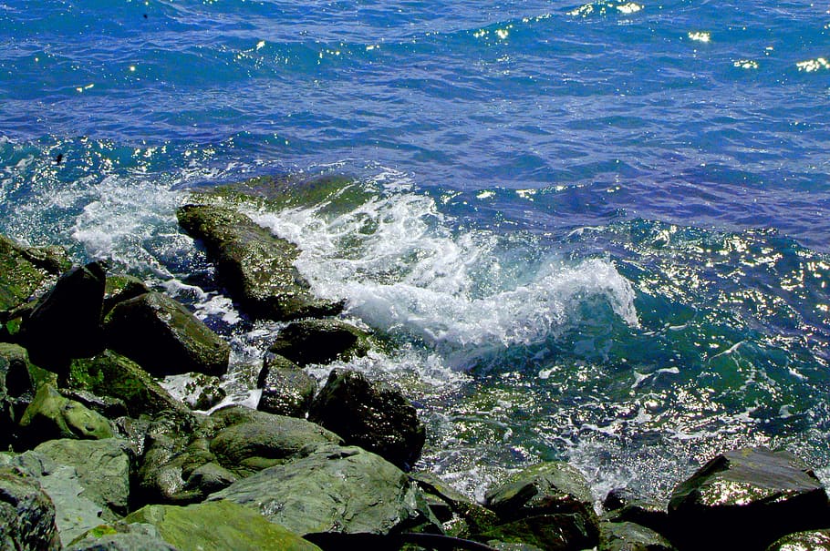 Ocean, Nz, Beach, Wave, Blue, Summer, sea, no people, day, outdoors HD wallpaper