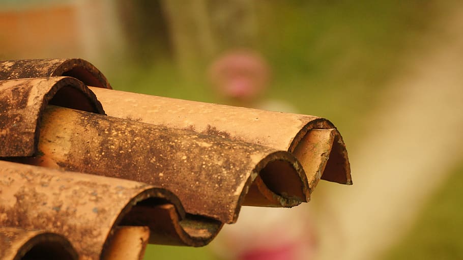 area, kettle, the, field, india, moments, colombia, focus on foreground HD wallpaper