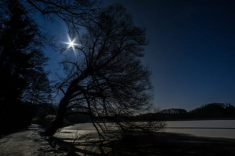 bare tree and lake, star, moon, night sky, good night, blue HD wallpaper