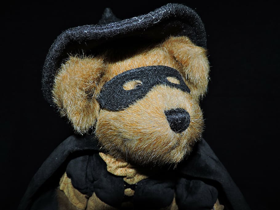 brown plush toy, bear, stuffed animal, witch, teddy, cute, childhood HD wallpaper