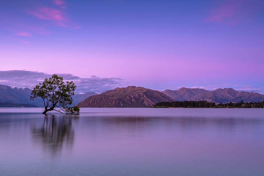 green tree in body of water, mountain, highland, cloud, sky HD wallpaper