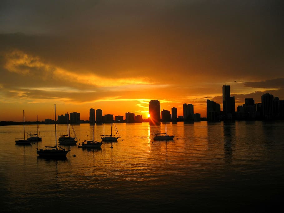 boats on body of water, dock, skyline, sunset, city, architecture HD wallpaper