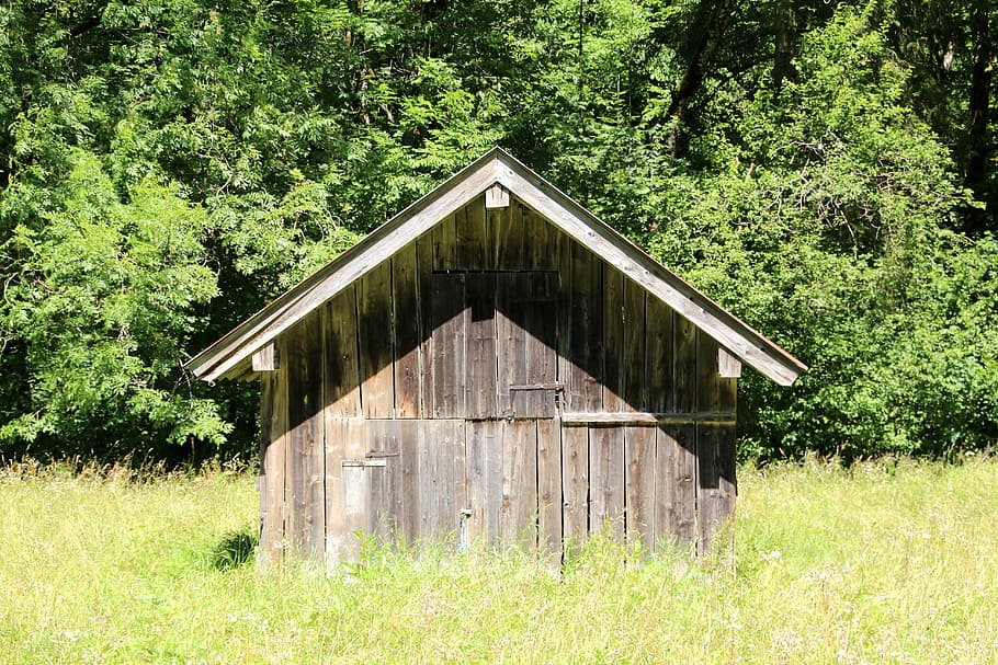 vacation, log cabin, forest, hut, wood, nature, plant, tree HD wallpaper