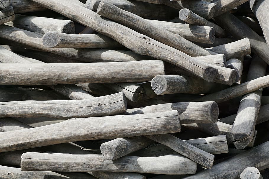 wood, tree, tribe, log, wood - material, timber, large group of objects HD wallpaper