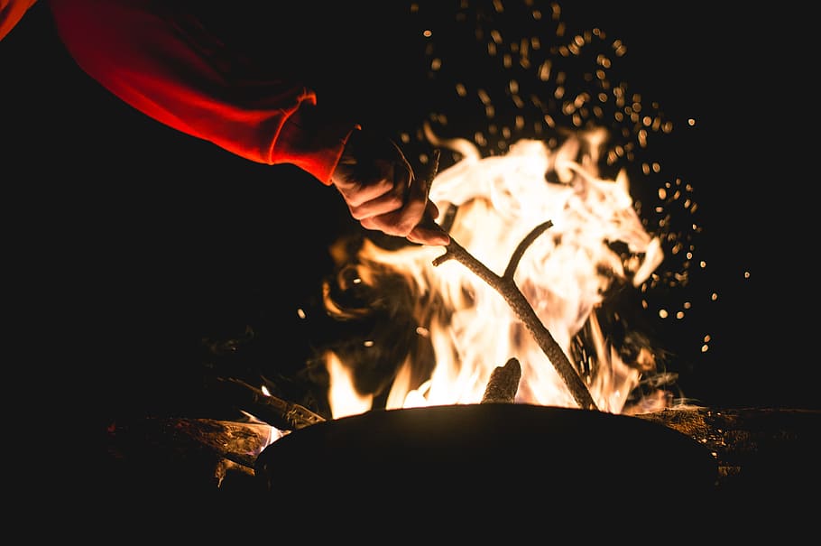 man preparing bonfire, person, red, sweatshirt, tree branch HD wallpaper