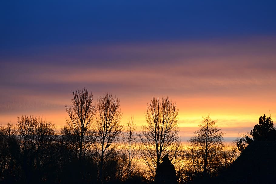 sky, sunrise, tree, clouds, landscape, morning, nature, sunset HD wallpaper