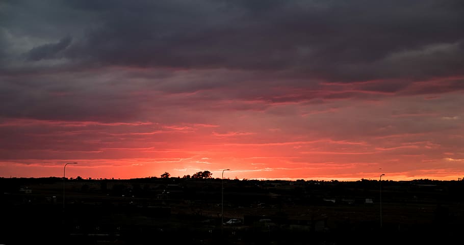 landscape photography of red sky, horizon, silhouette, tree HD wallpaper