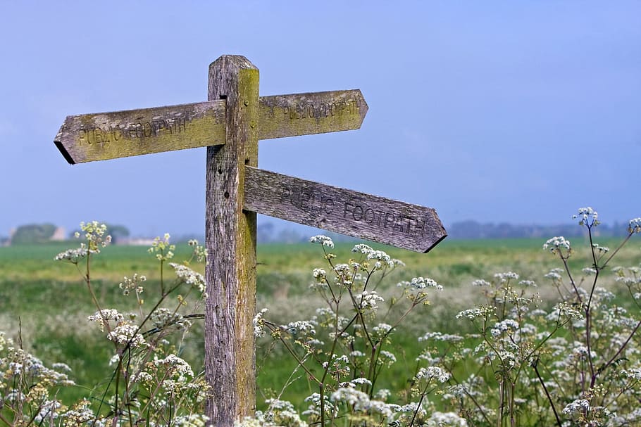brown wooden with letter decor during blue sky, signpost, pointer HD wallpaper