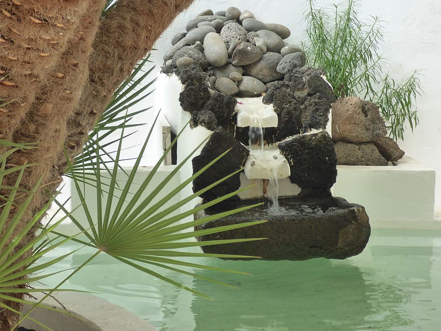 lagomar, source, lanzarote, nature, water, rocks, garden, plant HD wallpaper