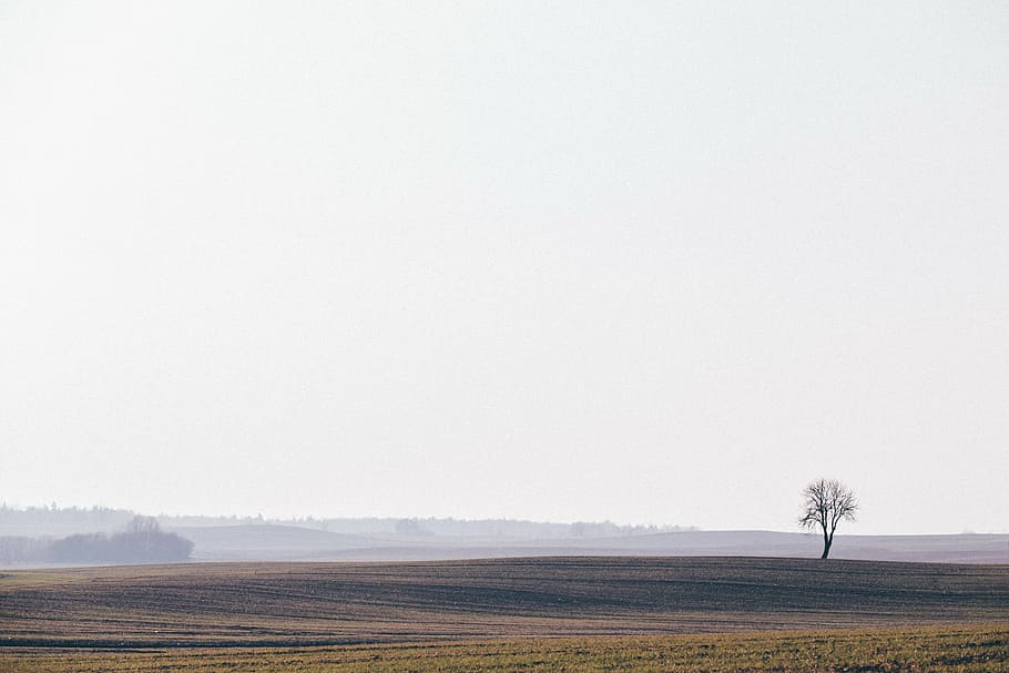 clouds, cropland, dawn, daylight, desert, fall, field, fog HD wallpaper