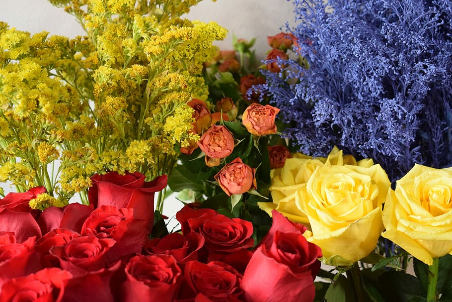 Roses, Flower, Floral, Spring, Bouquet, plant, love, romantic HD wallpaper