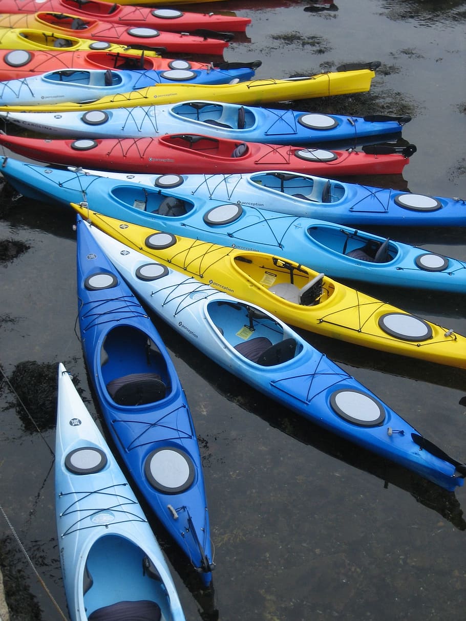 bunch of kayak, kayaks, pattern, boats, colorful, water, ocean HD wallpaper