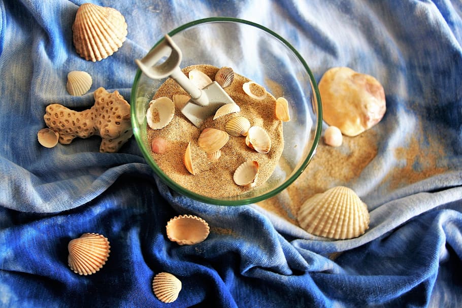 seashell lot in clear glass bowl, shells, sand, holiday, closeup HD wallpaper