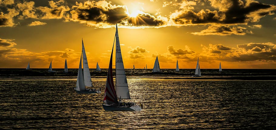 sailboats sailing on sea during sunset, nature, landscape, lake, HD wallpaper