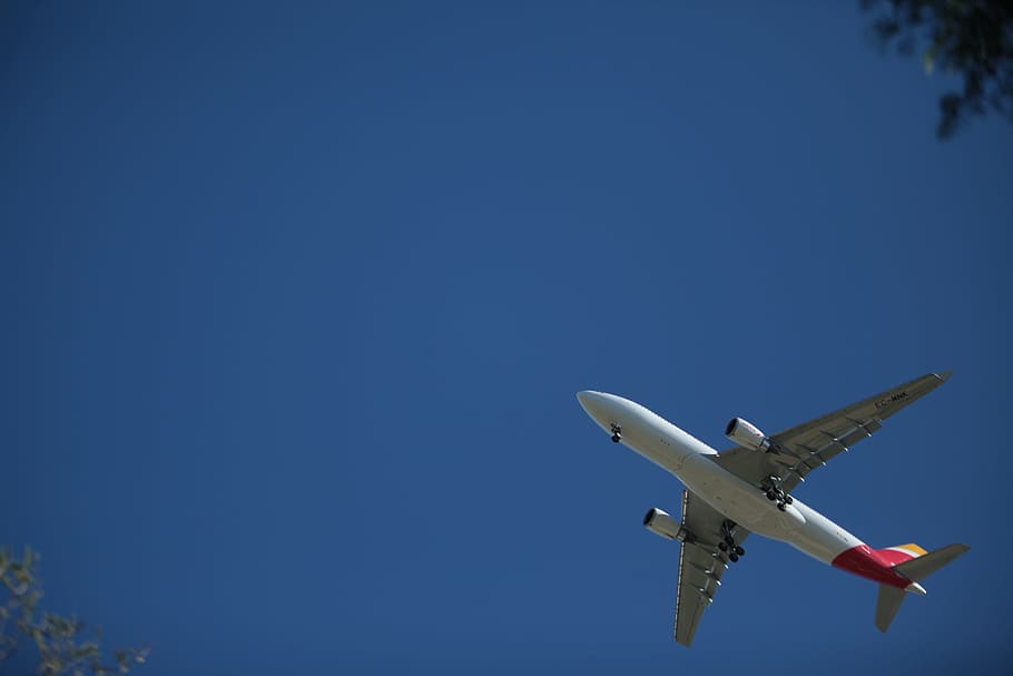 Flight, Aircraft, Fly, Plane, sky, takeoff, blue sky, flying HD wallpaper