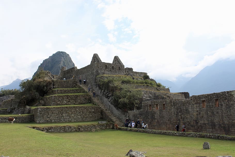 machupicchu, peru, valley, inca, cuzco, mountain, andes, heritage, HD wallpaper