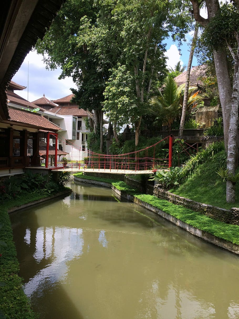 Bridge, River, Bali, Ubud, Travel, peaceful, zen, scenic, architecture HD wallpaper