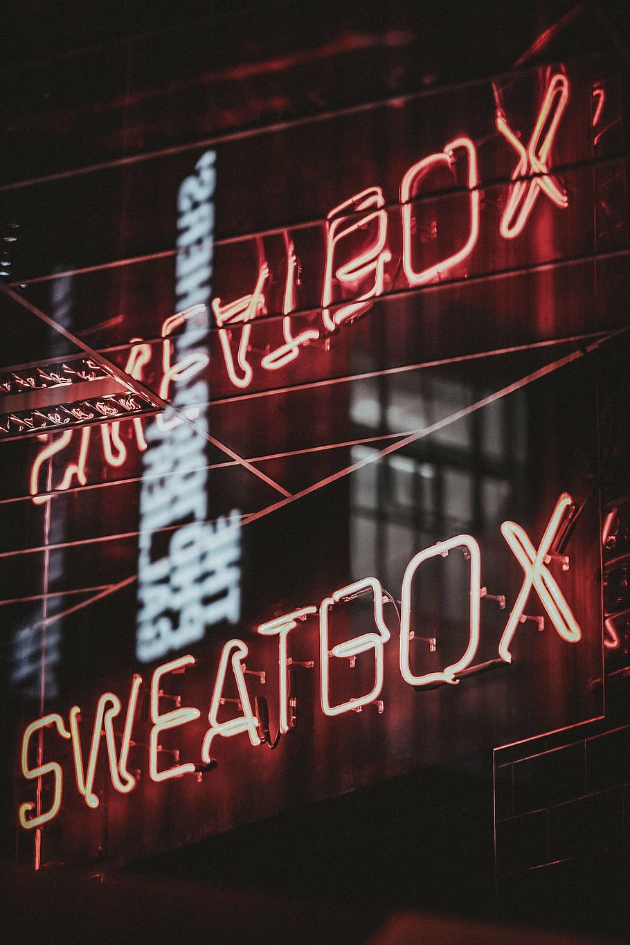 Sweatbox neon light signage near wire, night, dark, lights HD wallpaper