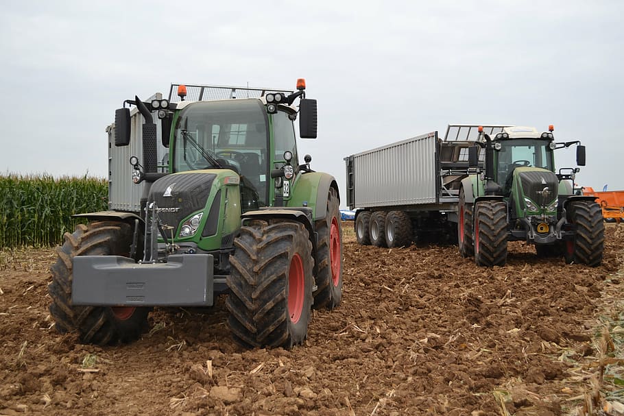 two trucks parked near sugarcane field, tractor, silage, fendt