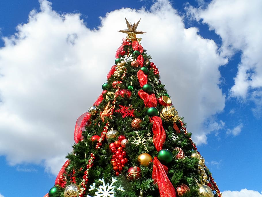 Christmas tree during daytime, holiday, xmas, green, x-mas, decorated, HD wallpaper