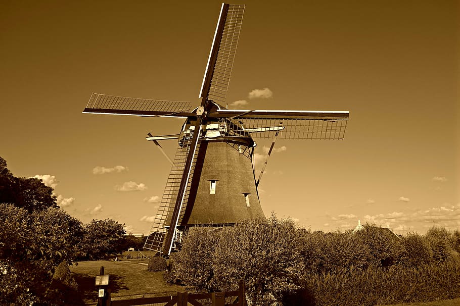 windmill, dutch windmill, historic, de zwaan, ouderkerk aan de amstel HD wallpaper