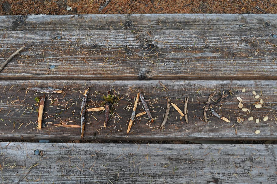 brown wooden planks, Thanks, Table, Nature, Natural, wood - material HD wallpaper