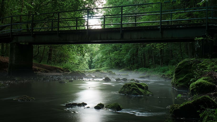 gray concrete bridge between green leaf tree during daytime, river, HD wallpaper