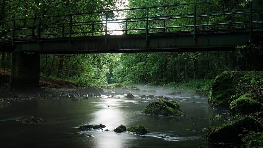 gray concrete bridge between green leaf tree during daytime HD wallpaper