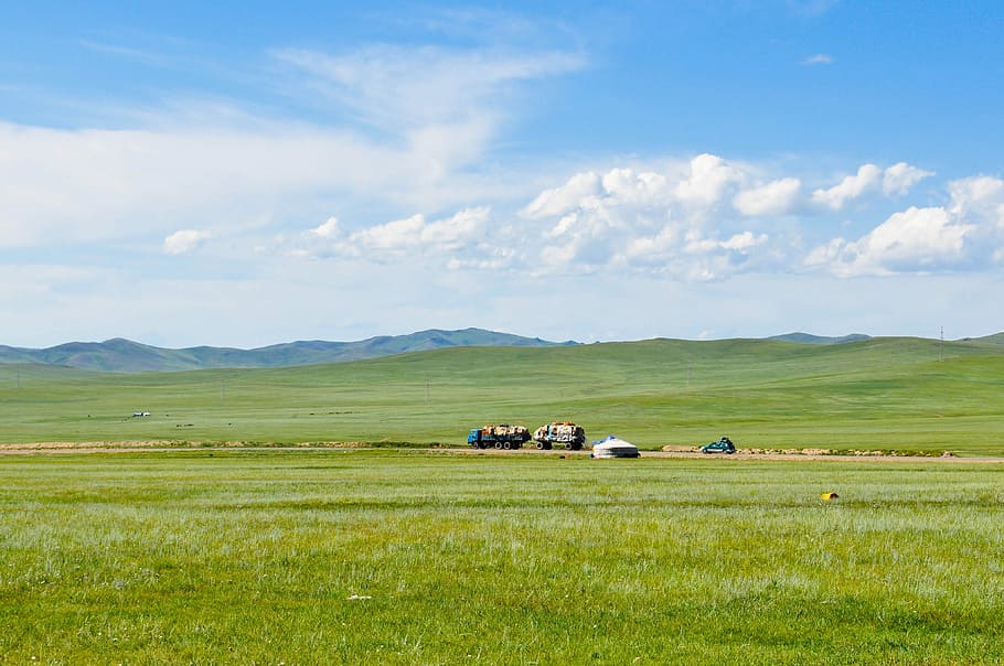 green grass, Countryside, Steppes, Mongolia, Nature, rural, landscape, HD wallpaper