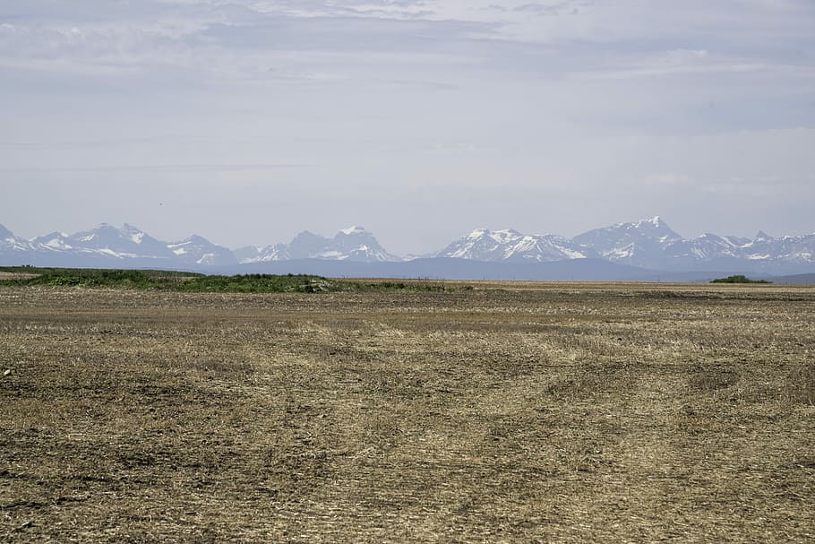 Mountains in the Distance across the field in Alberta, canada HD wallpaper