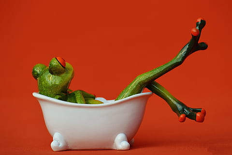 Frog in bath, various, bathroom, cleaning, hygiene, food, green Color HD wallpaper