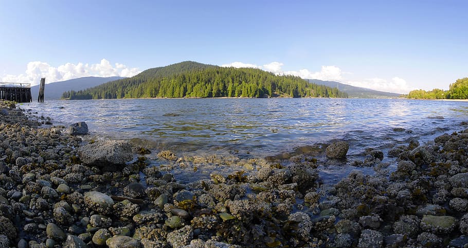 lakes, water, rocks, gray, grey, stones, riverside, riverbank HD wallpaper