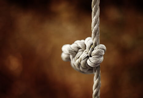 close-up view of rough strong rope with knot isolated on white Stock Photo  by LightFieldStudios