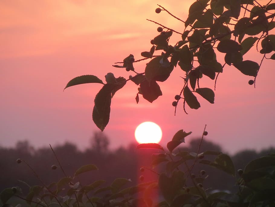 sunset, setting sun, colorful sunset, brand, nature, landscape HD wallpaper