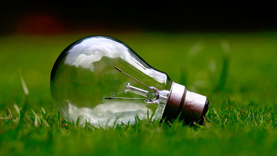 clear glass bulb on green grass field, nature, light, filaments HD wallpaper