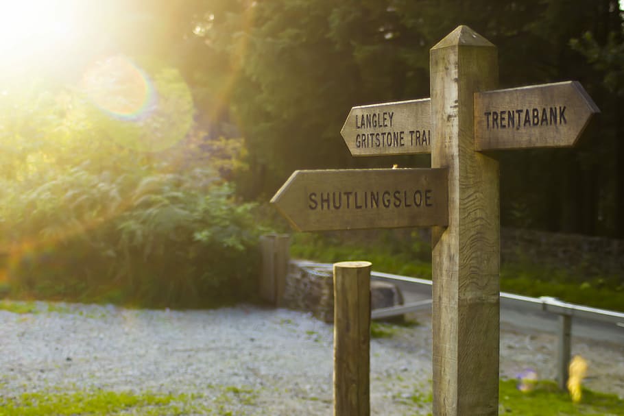 Sign Post, Direction, Travel, guidepost, path, forest, sun HD wallpaper