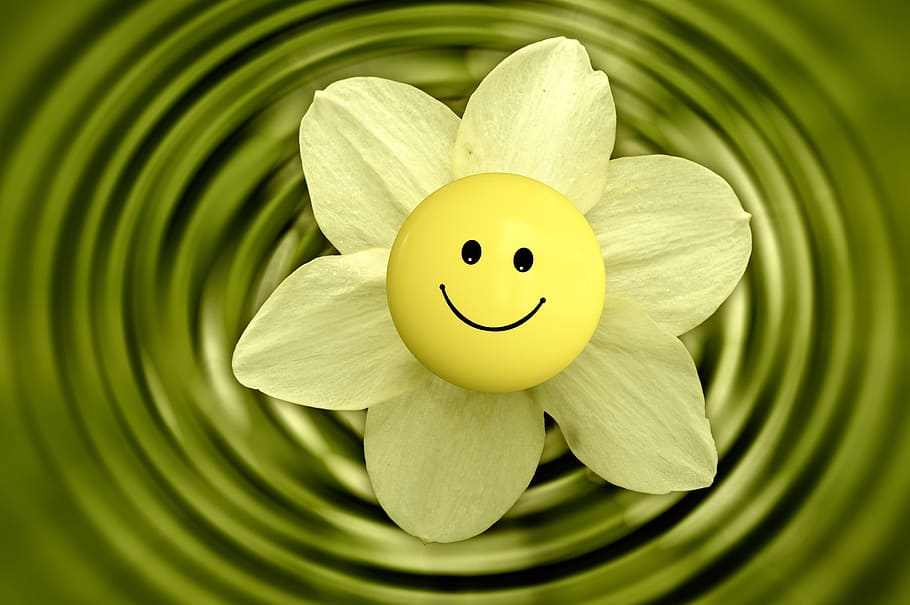Smiley Faces in Flowers  License download or print for 1488  Photos   Picfair