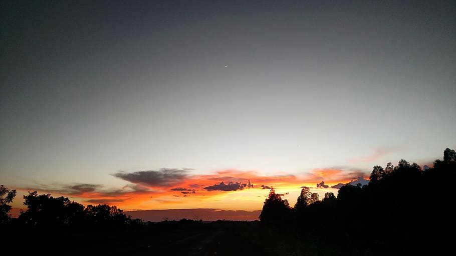 dawn, eventide, sunset, sky, silhouette, tree, beauty in nature HD wallpaper