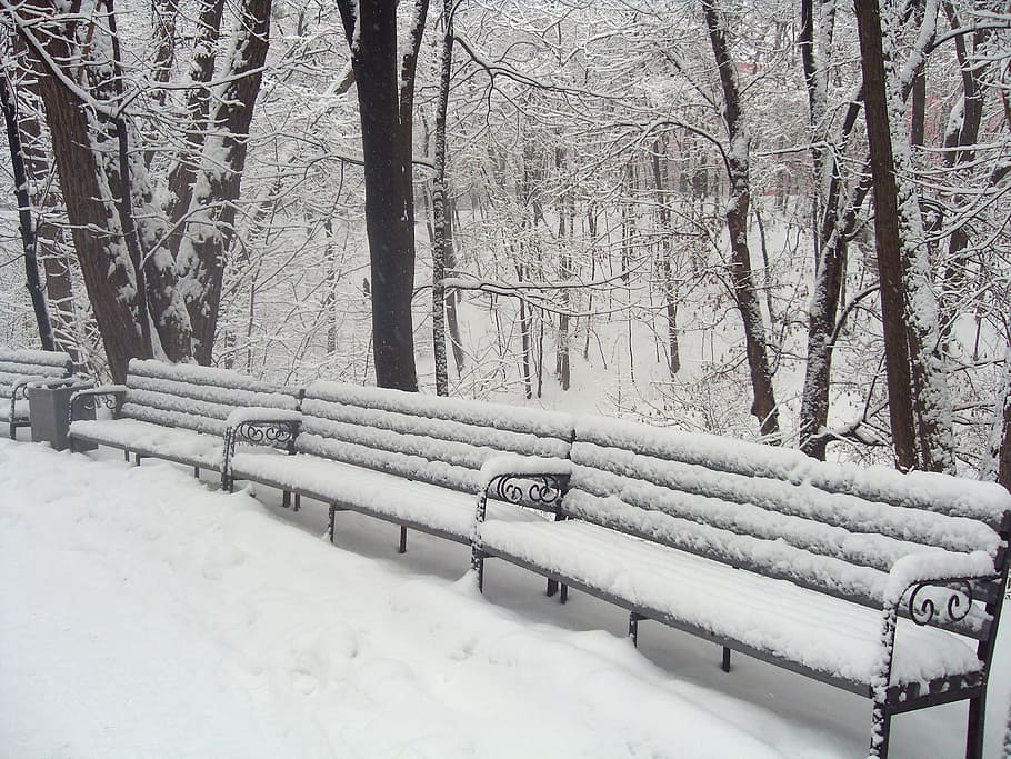 Russian, Winter, Winter, Park, Trees, Snow, Ice, benches, cold HD wallpaper