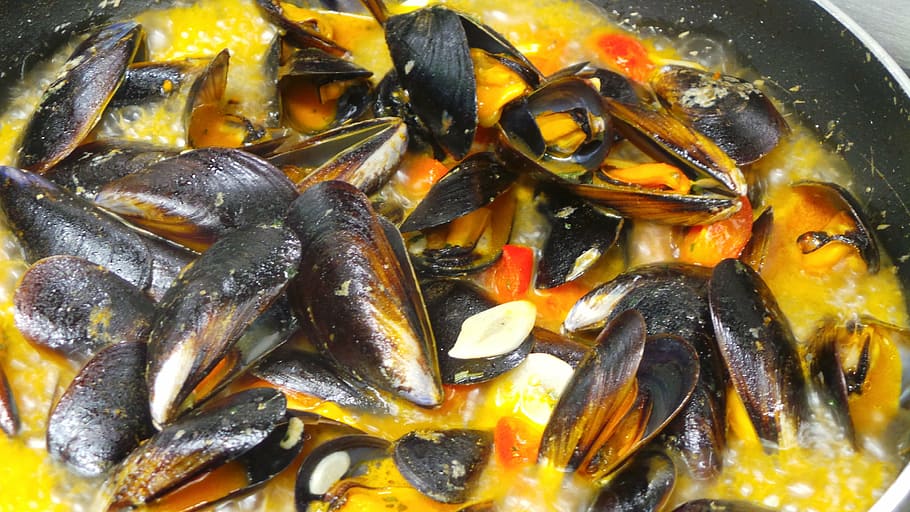 mussels, soup, bread, food, food and drink, freshness, seafood HD wallpaper