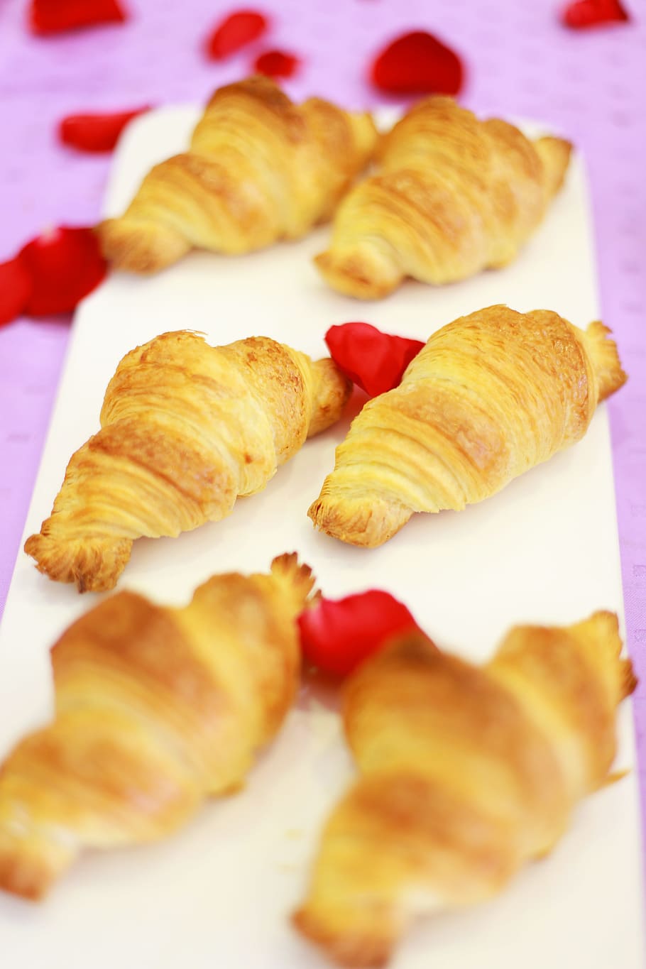 baking, croissant, west point, food and drink, still life, indoors HD wallpaper