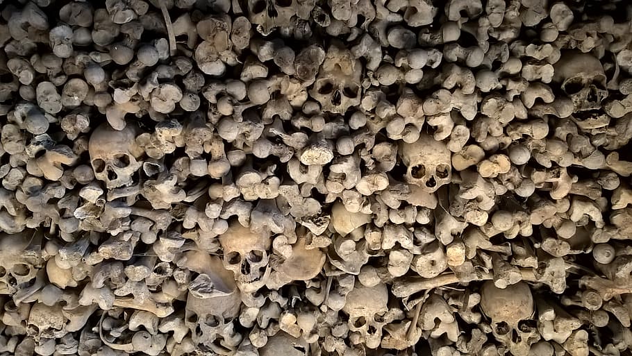 bones and skulls lot, skeleton, death, charnel house, full frame HD wallpaper