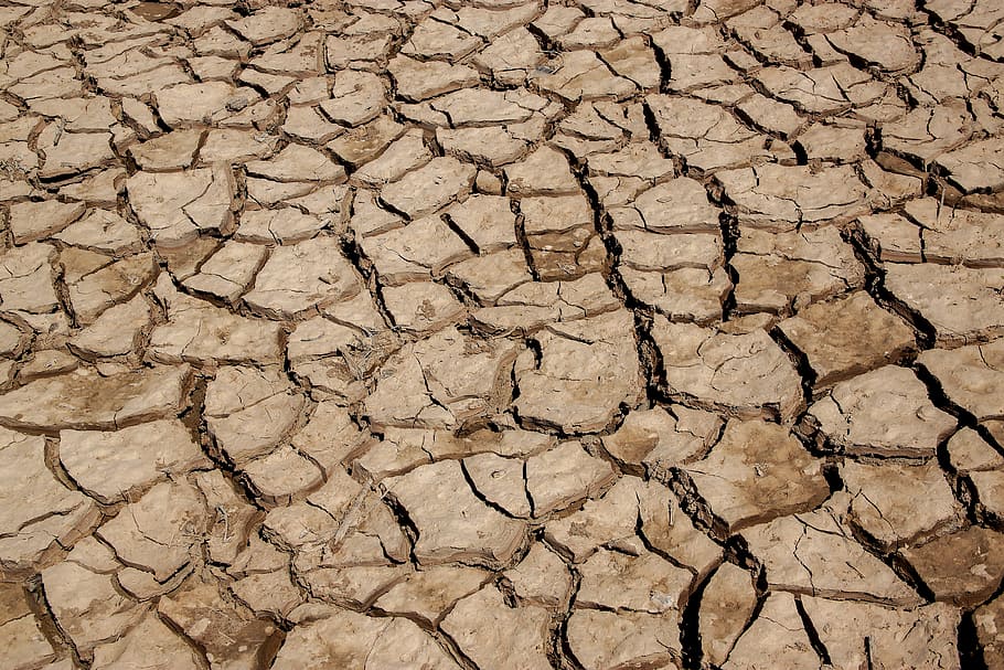 cracked, terry, thirst, arid climate, full frame, backgrounds HD wallpaper