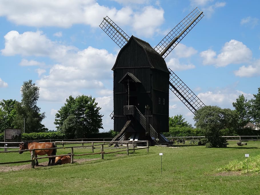 windmill, mecklenburg, old, history, rural Scene, plant, sky HD wallpaper