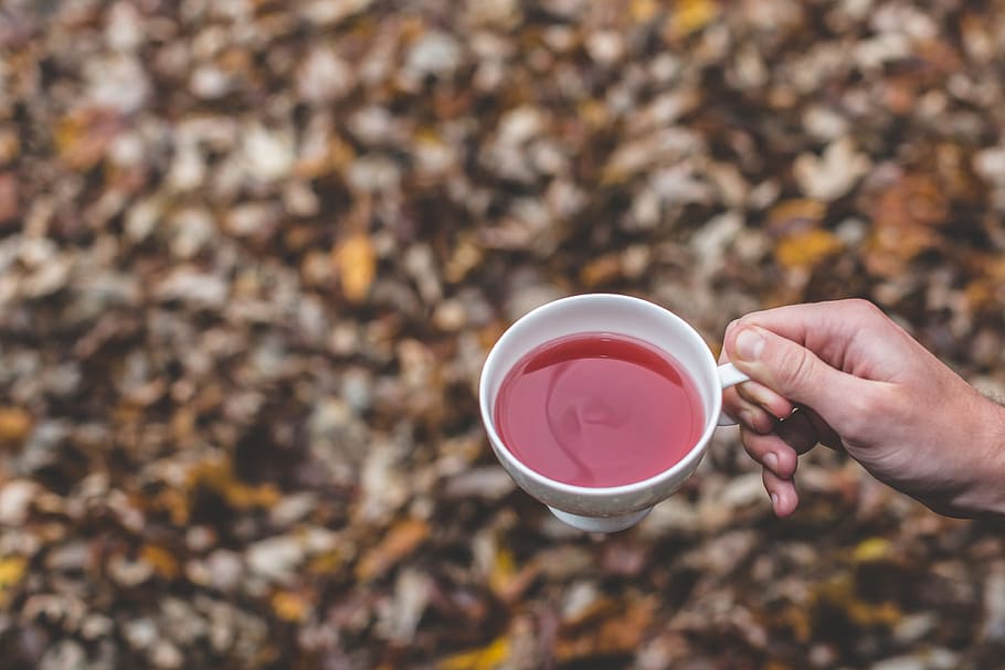 leaf, fall, autumn, outdoor, herbal tea, drink, hand, human hand HD wallpaper