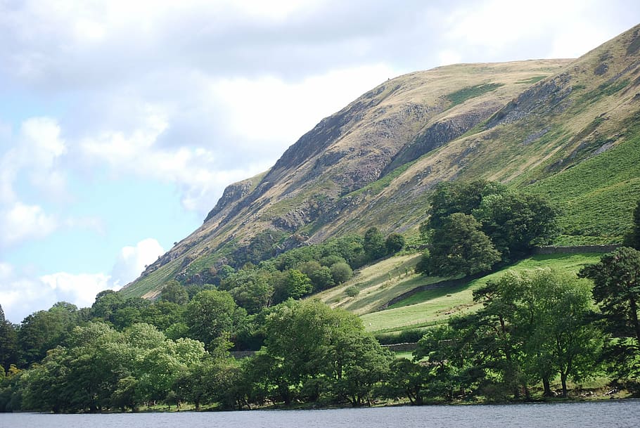 lake district, hillside, trees, cumbria, mountain, nature, summer HD wallpaper