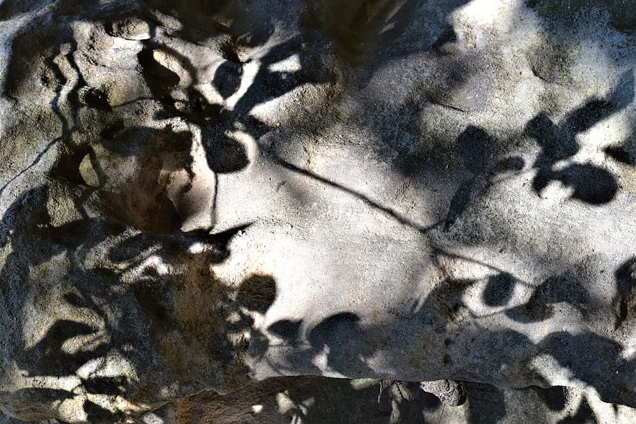light, shadow, tree, foliage, background, game, rock, backgrounds HD wallpaper